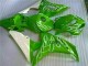 Verde Carenado Moto CBR 1000 RR 06-07