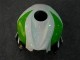 Verde Carenado Moto CBR 600 RR 07-08 Verde Carenado Moto CBR 600 RR 07-08
