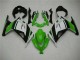 Verde Negro Plata Carenado Moto EX300 13-16